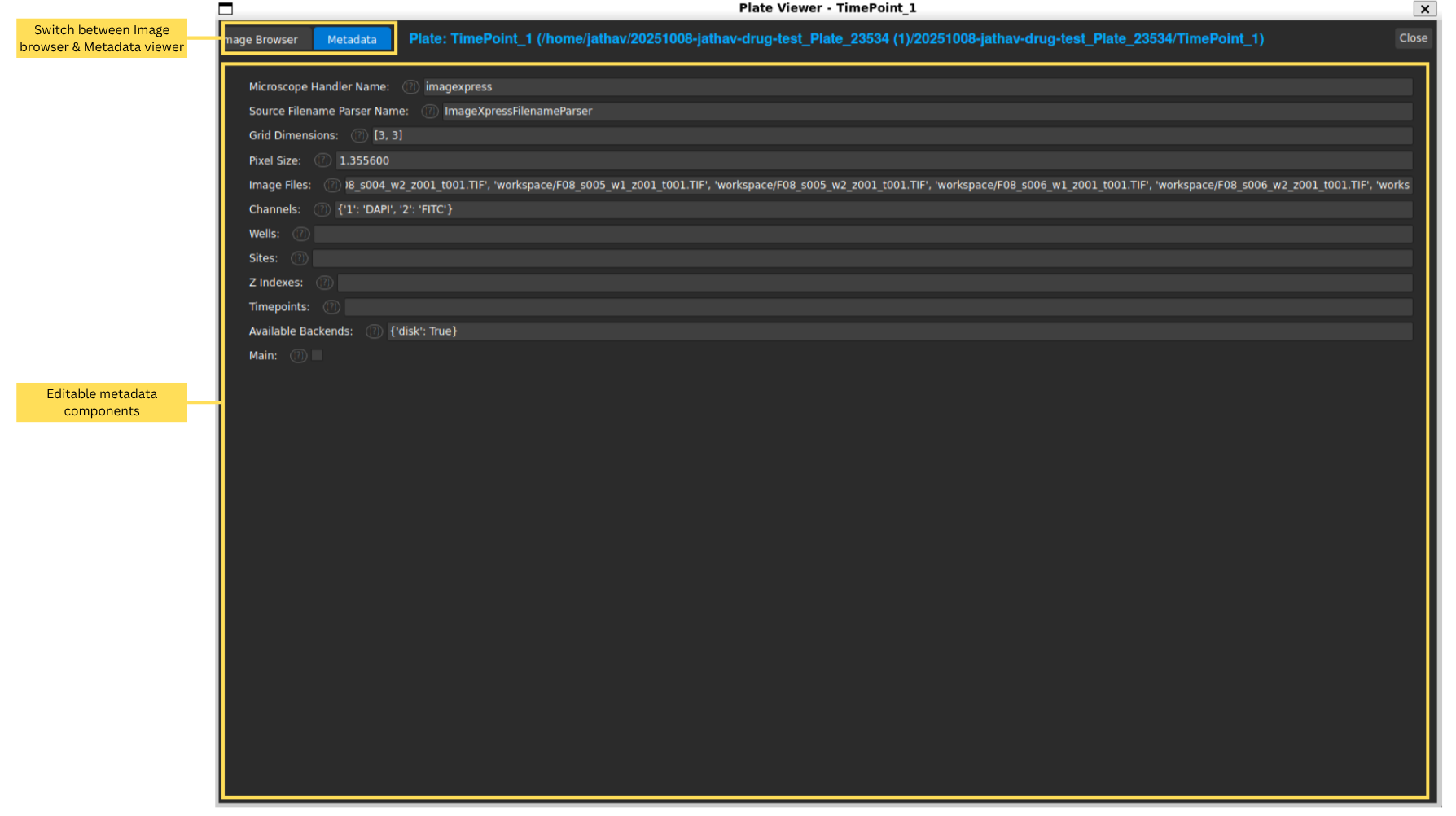 Metadata Viewer